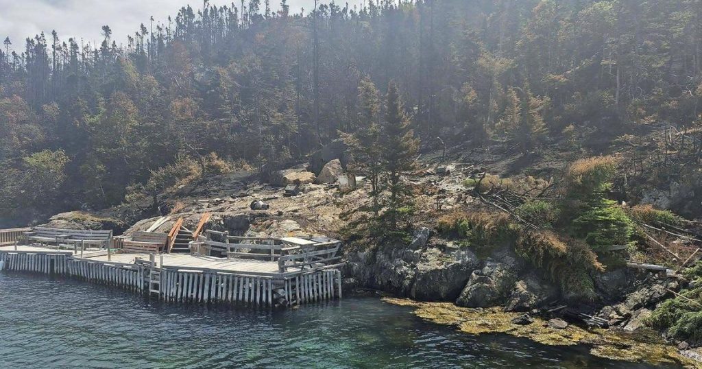 ‘Extreme wildfire behaviour’ forces evacuation of Newfoundland town