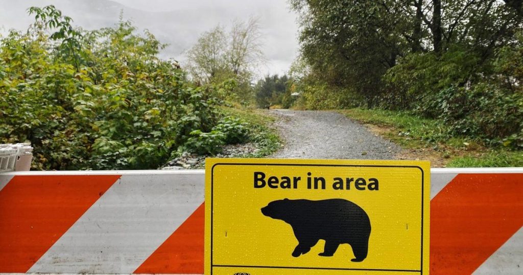 Man seriously injured in B.C. grizzly bear attack in Kootenay region