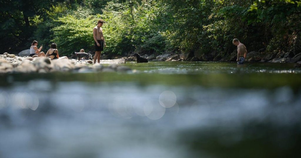 Heat warnings span B.C. Interior, southern areas to see temperatures up to 37 C