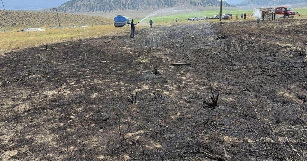 Fish dropped on power lines by bird caused B.C. blaze, firefighters say