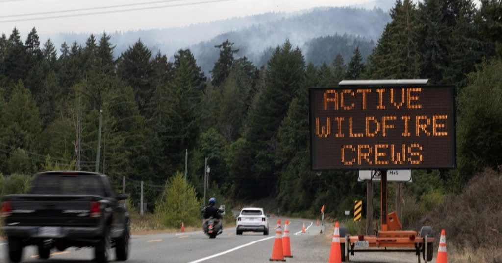 Blaze near Cathedral Grove, but B.C. fire service says ancient forest not at risk