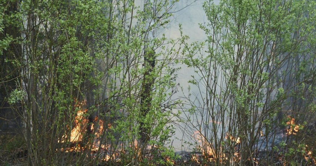 Satellite images reveal conditions that contributed to ‘catastrophic’ wildfire season