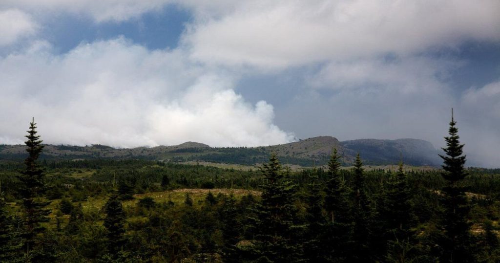 Newfoundland assessing wildfire damage; Nova Scotia Long Lake fire grows
