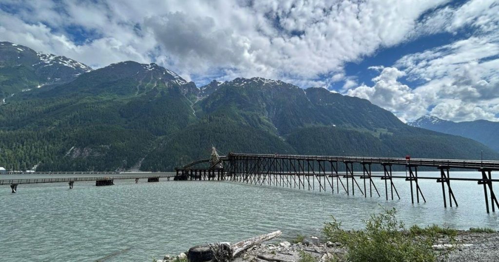 First Nations ‘making history’ to buy B.C. port terminal that moves critical minerals