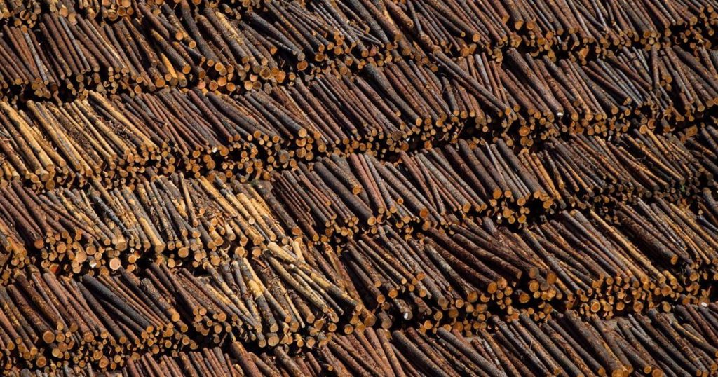 Interfor to cut lumber output until year-end, citing weak market conditions