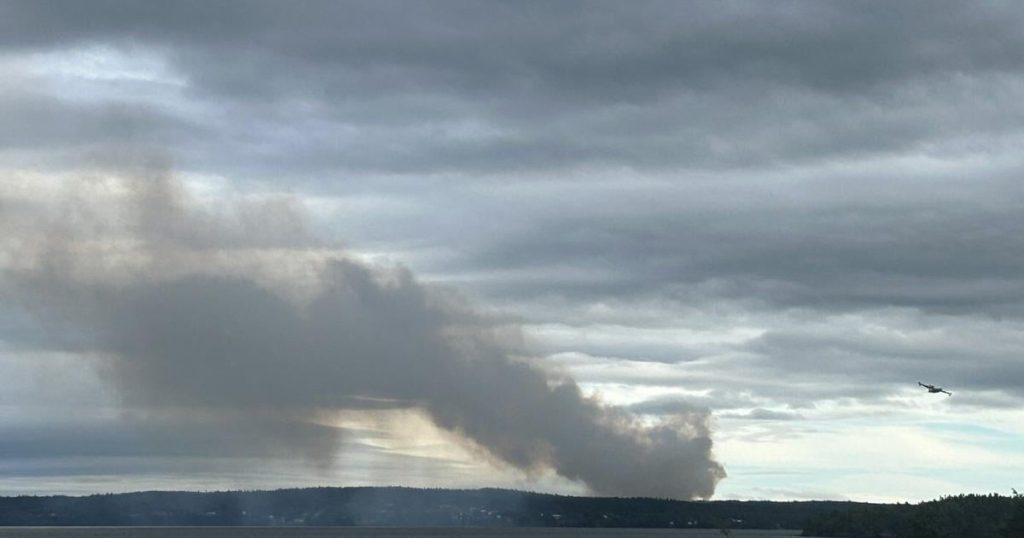 Evacuation order lifted for small wildfire near lumberyard in eastern Newfoundland