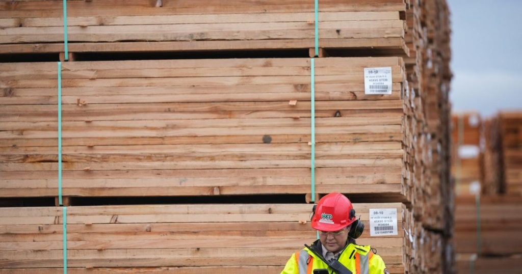 B.C. First Nations and logging firm want Walbran Valley old-growth blockade to end
