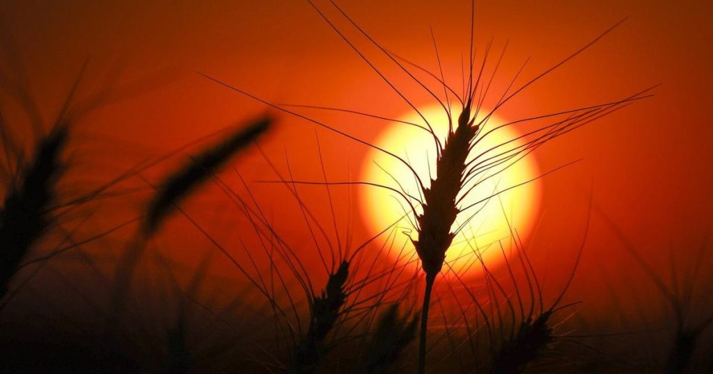 Drought deepens in Eastern Canada as West sees some improvement: monitor