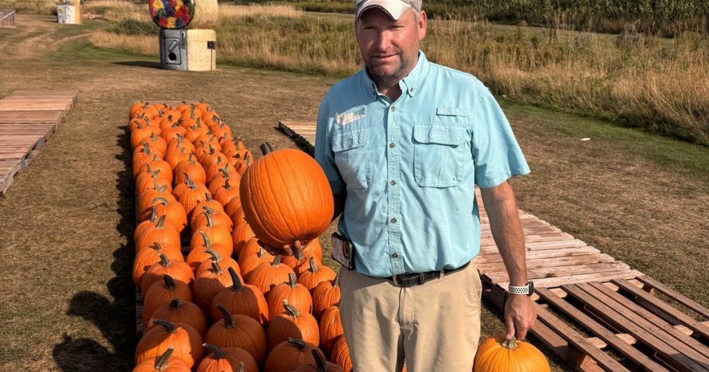 ‘There’s something strange in the pumpkin fields.’ Drought & heat frightening farmers