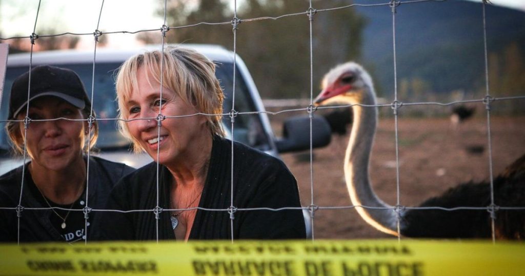 Interim stay of cull order turns despair to joy on B.C. ostrich farm