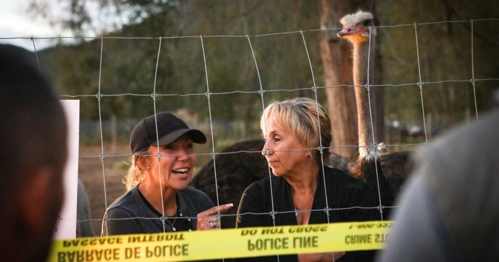 Wall of hay bales constructed around B.C. ostriches ahead of CFIA cull