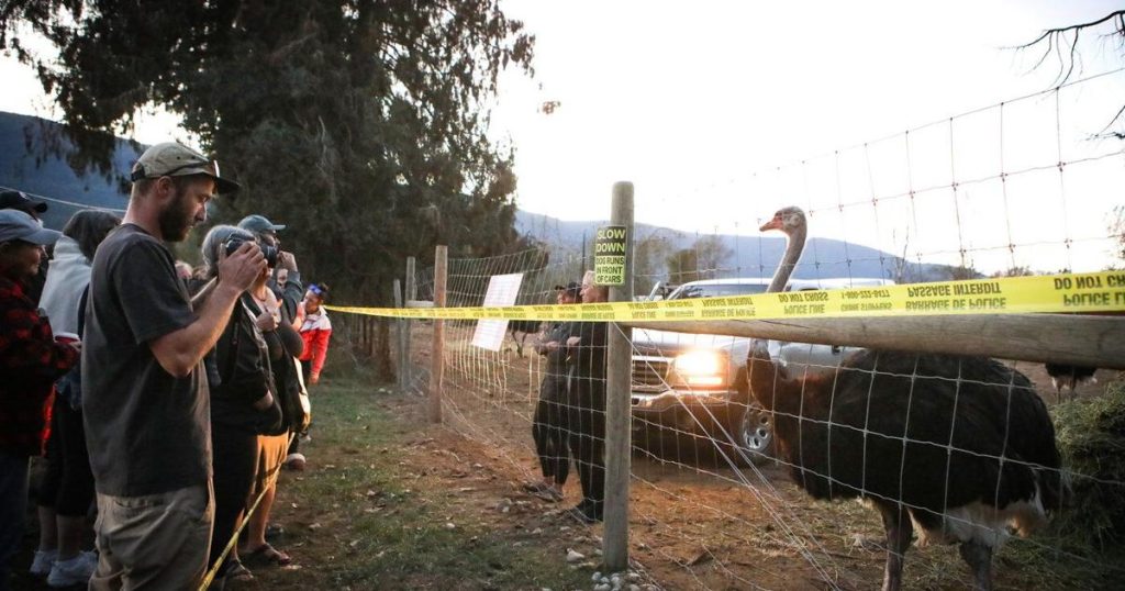 CFIA confirms death of ostrich with ‘pre-existing condition’ at B.C. farm