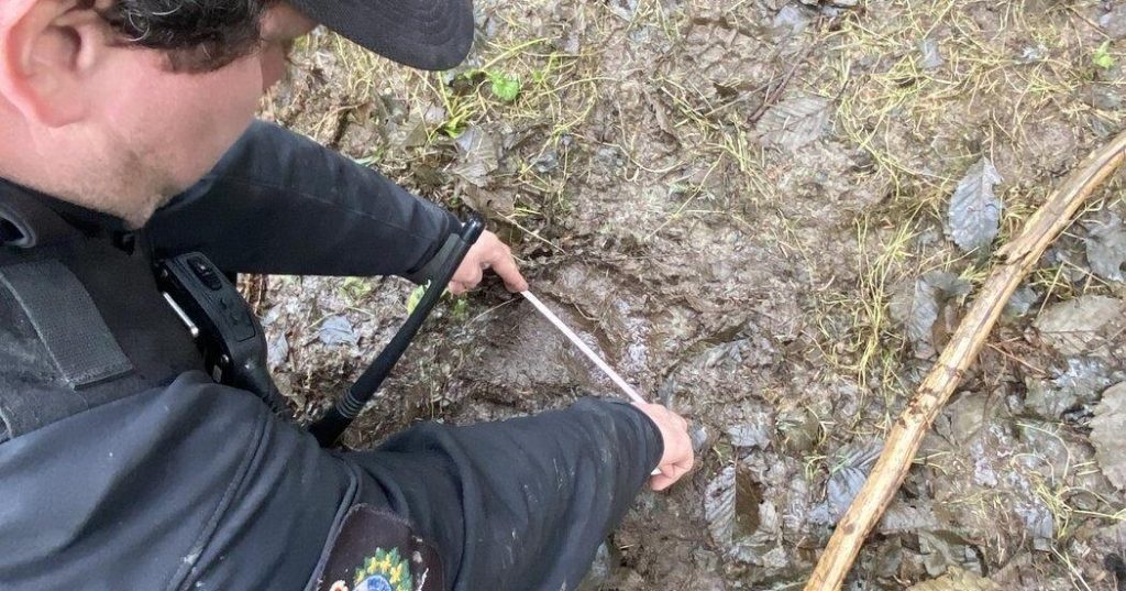 Teams work through the night in search of bear after B.C. attack