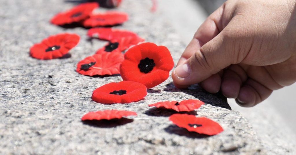 N.S. chief justices supports individual judges banning poppies in court