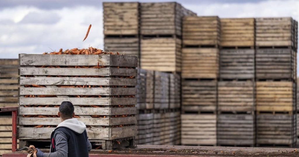 Farmers will lobby Ottawa for K guaranteed annual income pilot program