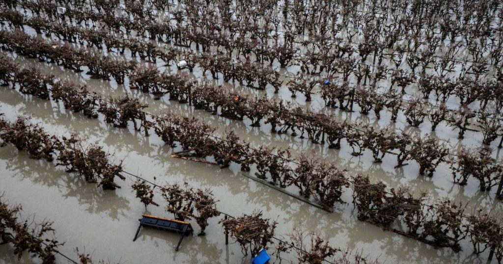 In the news: Rain to continue in B.C., Hudson’s Bay window display, youth happiness