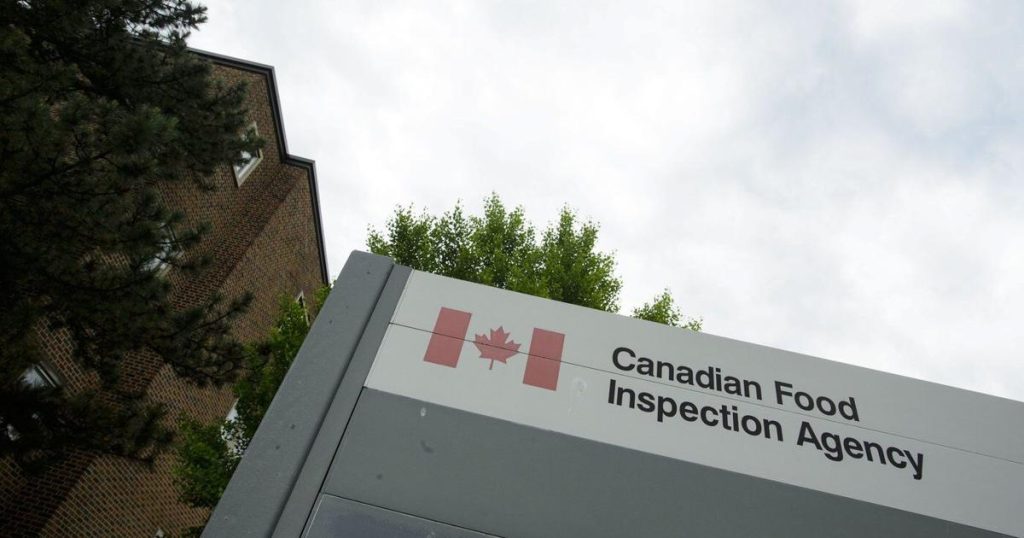 Certain salads sold in Western Canada recalled for possible listeria contamination