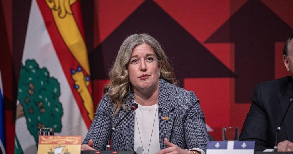 N.B. premier says 2025 set foundation for health care — and 2026 is about results