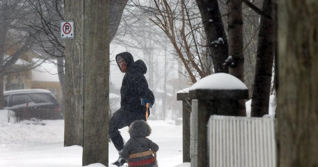 Freezing rain, snow expected in parts of Ontario as Newfoundland braces for blizzards