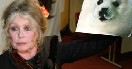 French actor Brigitte Bardot remembered in Canada for fighting seal hunt French actor Brigitte Bardot remembered in Canada for fighting seal hunt