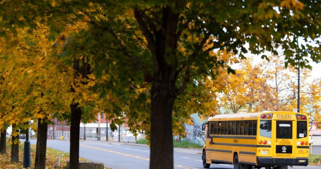 Quebec students must address teachers as ‘Mr.’ and ‘Ms.’ under new civility rules