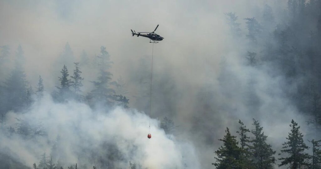 2025 was the third warmest year on record. What does that mean in Canada?