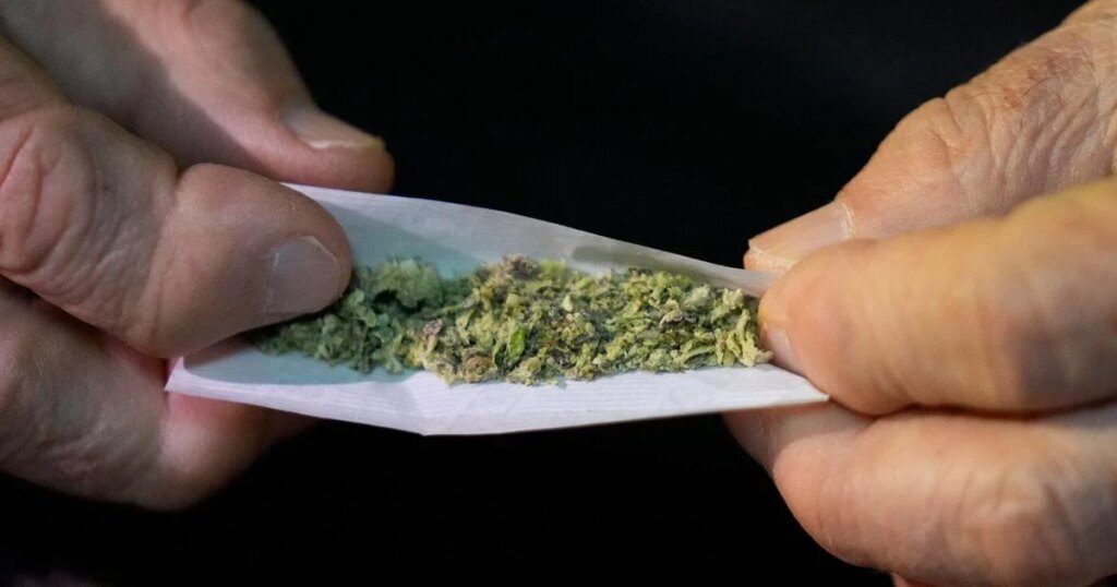 N.S. government says even more cannabis dispensaries than originally estimated