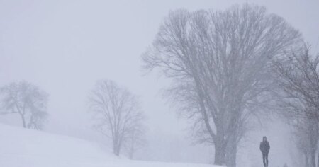 Winter storm causes outages in Nova Scotia and cancellations across the Maritimes