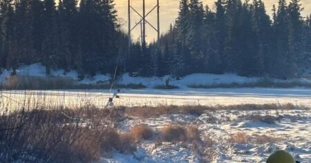 Firearms damage found near power line that failed, causing outage: Manitoba Hydro Firearms damage found near power line that failed, causing outage: Manitoba Hydro