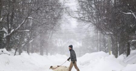Too cold to ski: Bone-chilling cold warnings sweep the country Too cold to ski: Bone-chilling cold warnings sweep the country