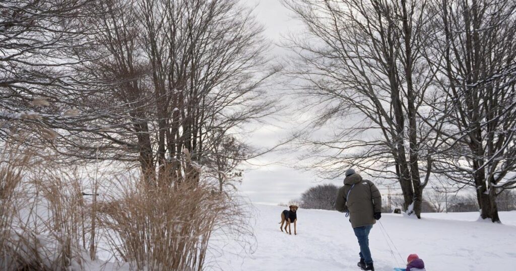 Wind chill index expected to plunge in parts of Atlantic Canada this weekend