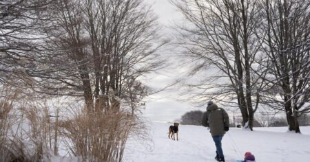 Wind chill index expected to plunge in parts of Atlantic Canada this weekend Wind chill index expected to plunge in parts of Atlantic Canada this weekend