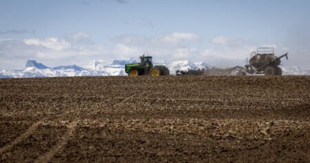 Agriculture and Agri-Food Canada announces closure of research operations, jobs cuts Agriculture and Agri-Food Canada announces closure of research operations, jobs cuts