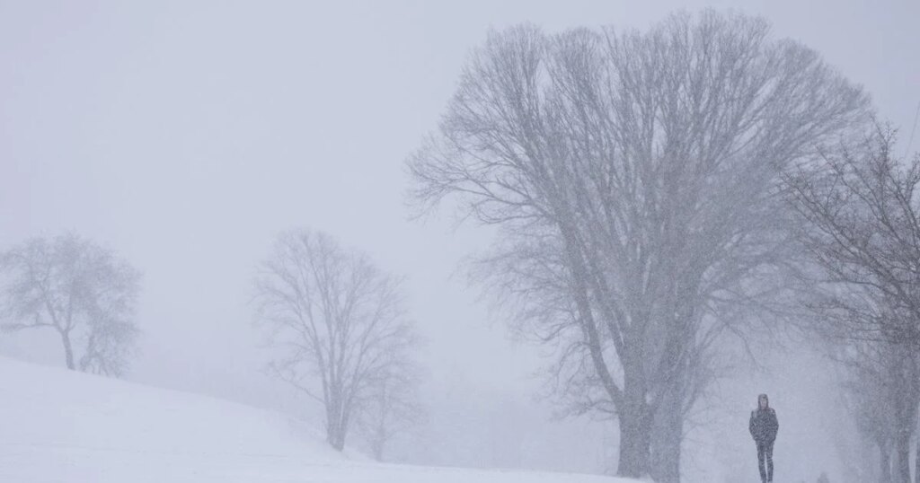 Customers react negatively to N.S. utility asking customers to conserve energy