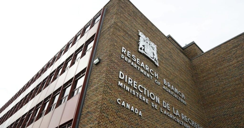 Union, farm groups say cuts at federal agriculture centres will set sector back