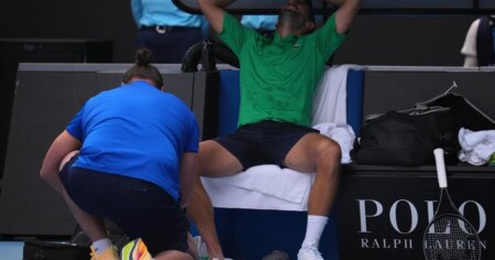 Novak Djokovic advances to the Australian Open semifinals after Musetti retires with injury Novak Djokovic advances to the Australian Open semifinals after Musetti retires with injury