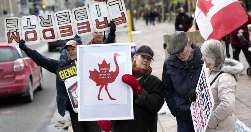 Months after B.C. ostrich cull, why does protest movement persist?