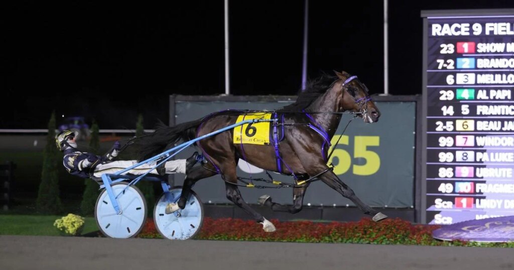 James MacDonald named Canadian harness racing’s top driver for fifth straight year