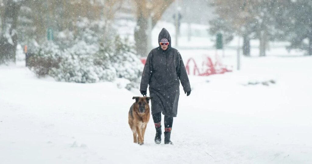 Balmy in B.C. and Alberta as jet stream’s dip south brings deep freeze to Ontario