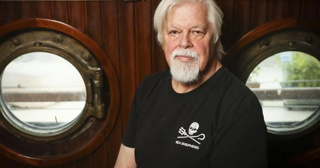 Anti-whaling campaigner Paul Watson slams Nova Scotia’s Whale Sanctuary Project