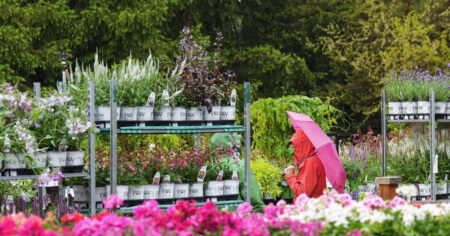 Sluggish, volatile start to spring could give way to hot, dry ending: Weather Network Sluggish, volatile start to spring could give way to hot, dry ending: Weather Network