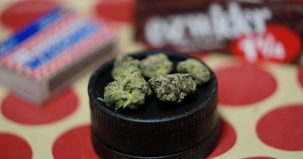 New bill increases fines, enforcement powers for illegal cannabis in Nova Scotia