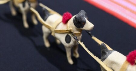 Métis leaders unveil 1920s model dog sled repatriated from Vatican Métis leaders unveil 1920s model dog sled repatriated from Vatican
