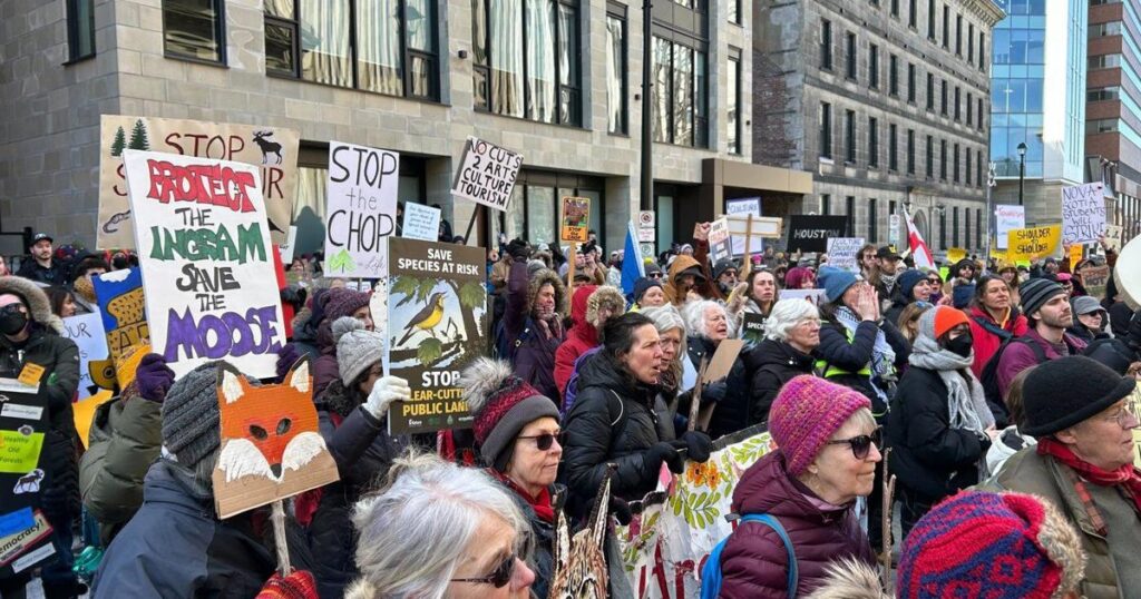 Hundreds gather for First Nations-led protest in Nova Scotia over budget cuts