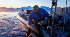 ‘It’s too warm’: Greenland’s fishermen are under threat from climate change