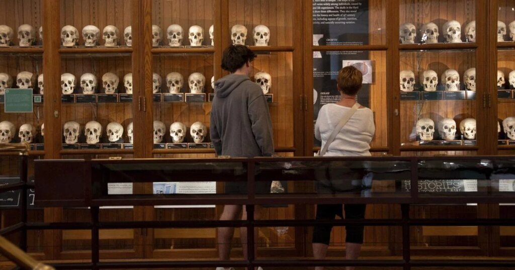U.S. museum returns remains of 12 Canadian soldiers