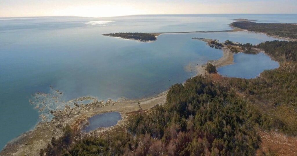 Land clearing starts as Whale Sanctuary Project in Nova Scotia reaches milestone
