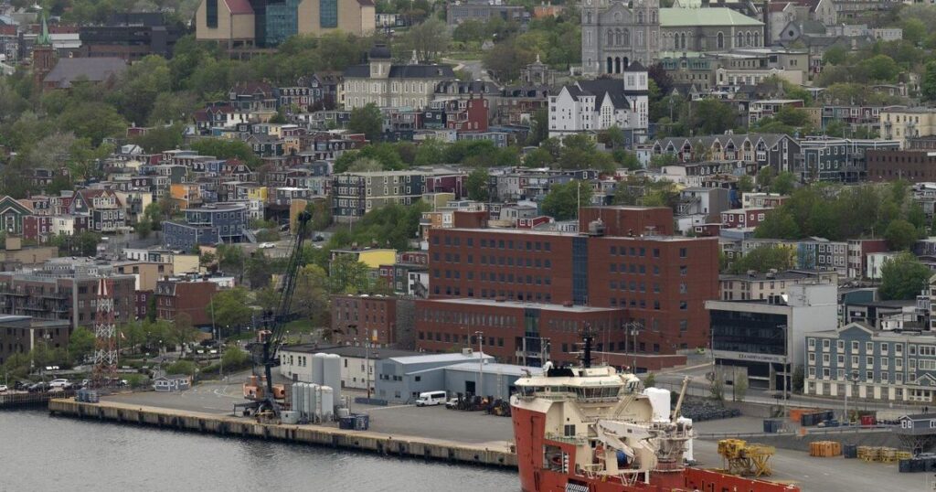 Multi-brawl game that drew 572 penalty minutes a ‘black eye’ on N.L. hockey: official