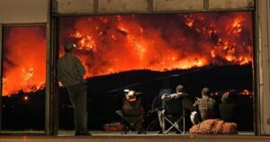 Invasive grasses may pose deadly risk post-wildfire, UBC researcher says Invasive grasses may pose deadly risk post-wildfire, UBC researcher says