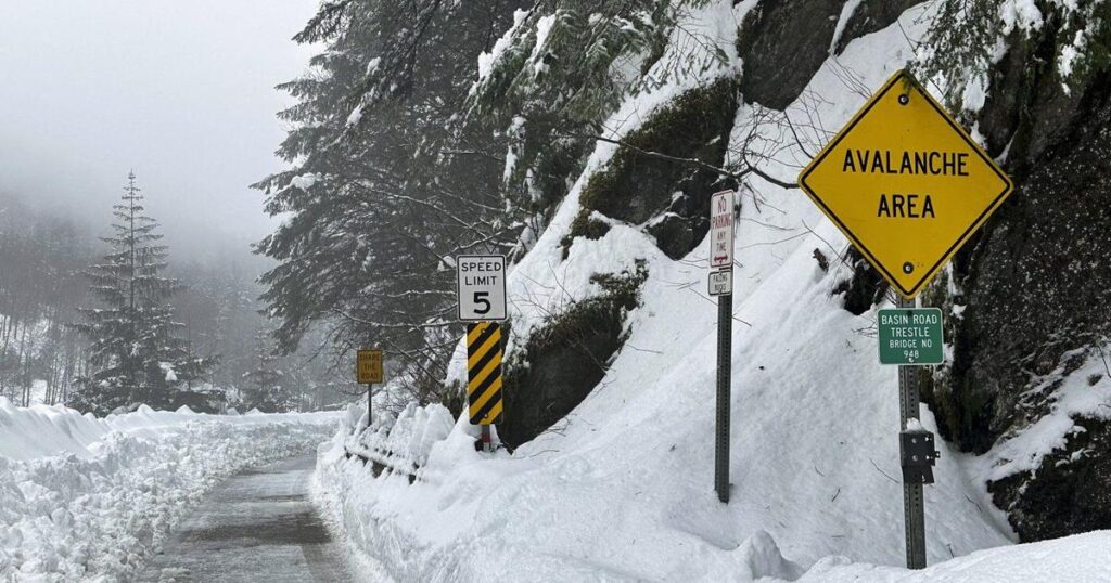 Avalanche that killed three in B.C. is being investigated as ‘workplace incident’